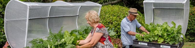 Vegepod feature image